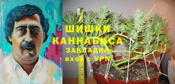 mdpv Нягань