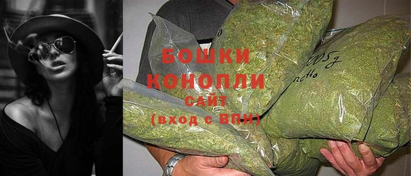 ECSTASY Остров