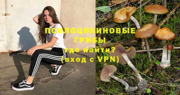 спайс Нязепетровск
