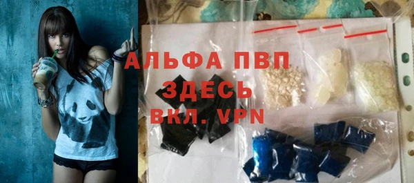 ГАЛЛЮЦИНОГЕННЫЕ ГРИБЫ Осташков