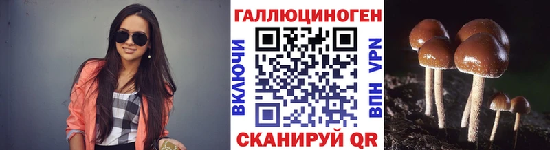 Псилоцибиновые грибы мицелий  Ржев 