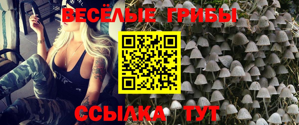 Галлюциногенные грибы прущие грибы  Вход с VPN  Ржев 