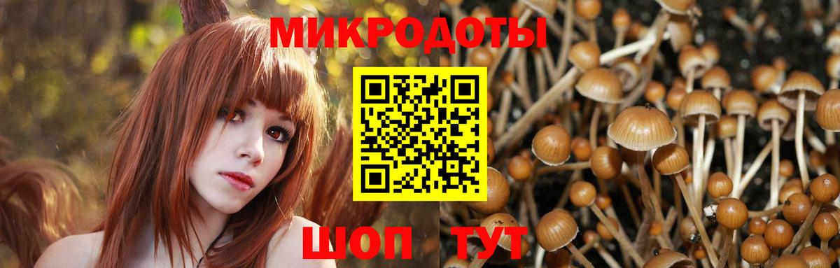 Псилоцибиновые грибы мухоморы Ржев